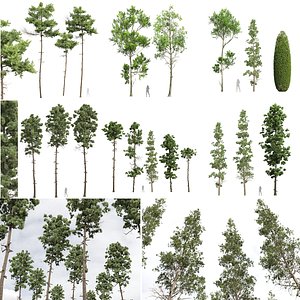 6Different SETS of Tree Set Vol 29 3D model