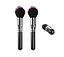 Brocha de maquillaje PBR 21