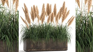 Reeds in a rusty flower pot for the interior 932 model