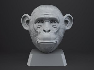 3D Chimpanzee Bust - Animal Figurine model