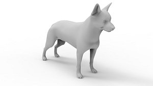 Australian Cattle Dog 3D