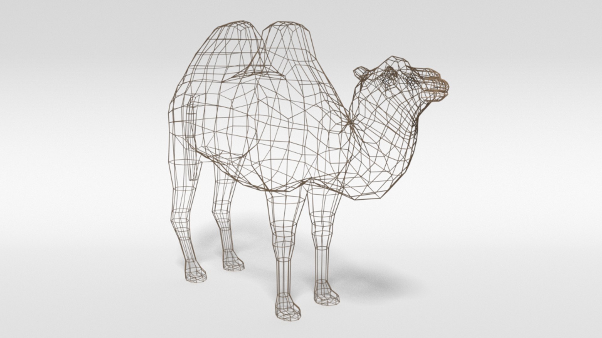 bactrian camel 3D model https://p.turbosquid.com/ts-thumb/sz/S3WJXP/VislBzQM/lowpoly_bactrian_camel_16wire/png/1583262898/1920x1080/fit_q87/3c68d897b9811c48c198d62244bd9aa843ef304f/lowpoly_bactrian_camel_16wire.jpg