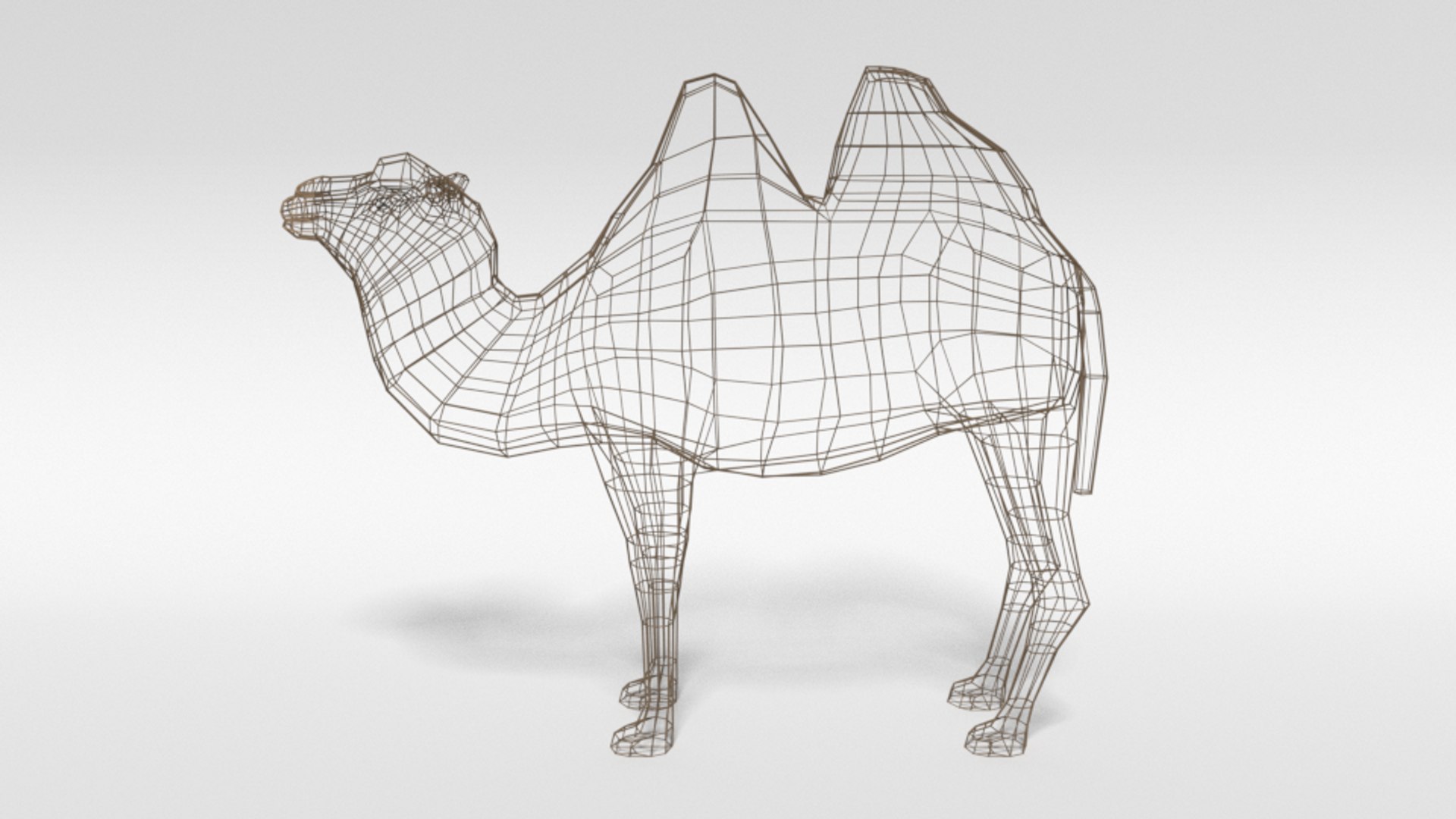 bactrian camel 3D model https://p.turbosquid.com/ts-thumb/sz/S3WJXP/cTkgEmFV/lowpoly_bactrian_camel_11wire/png/1583262898/1920x1080/fit_q87/fb38902b68a6c2db5fa1c638d40fd29ae0793e44/lowpoly_bactrian_camel_11wire.jpg