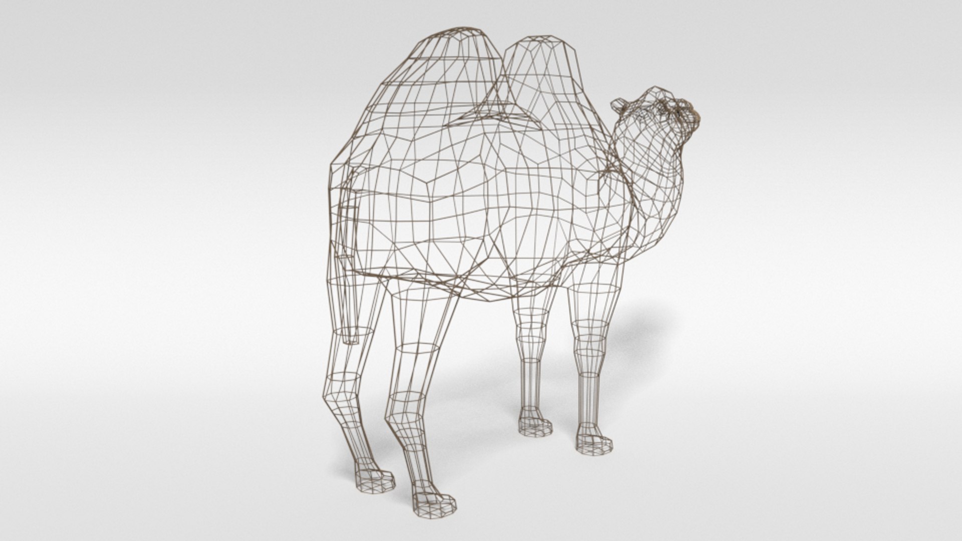bactrian camel 3D model https://p.turbosquid.com/ts-thumb/sz/S3WJXP/dzUxUDaz/lowpoly_bactrian_camel_14wire/png/1583262898/1920x1080/fit_q87/52c5d23a3d8b82f470e696395cf58e3047a59067/lowpoly_bactrian_camel_14wire.jpg
