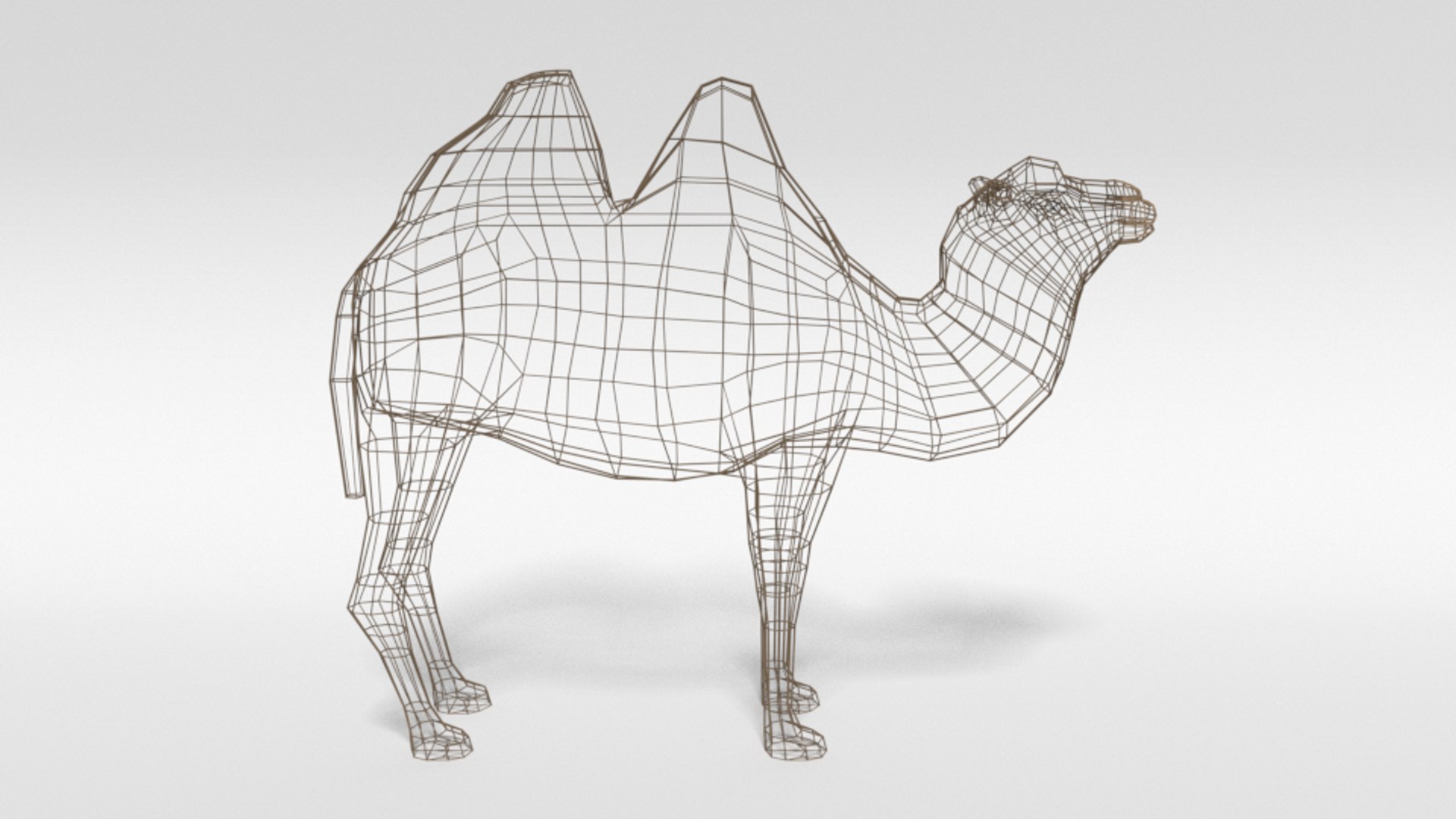 bactrian camel 3D model https://p.turbosquid.com/ts-thumb/sz/S3WJXP/g0NEH5OP/lowpoly_bactrian_camel_15wire/png/1583262898/1920x1080/fit_q87/9a121453e4238925f9e76422feadf57caeefa319/lowpoly_bactrian_camel_15wire.jpg