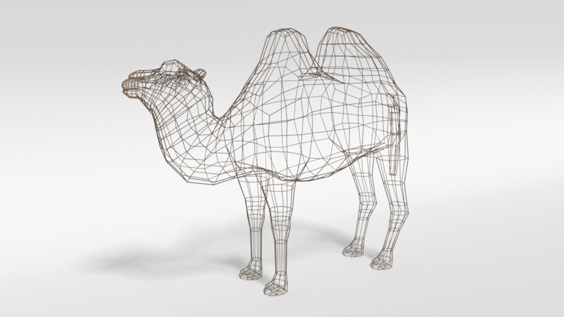 bactrian camel 3D model https://p.turbosquid.com/ts-thumb/sz/S3WJXP/uU9jeJ4m/lowpoly_bactrian_camel_10wire/png/1583262898/1920x1080/fit_q87/d19ae2bcb9b159b900445f7ff42d851e8cc55198/lowpoly_bactrian_camel_10wire.jpg
