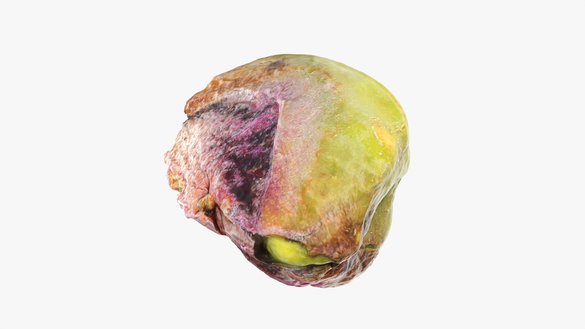Pistachio Kernel 02 3D model https://p.turbosquid.com/ts-thumb/sz/arDBAq/8B/pistachiopeeled02_0010/png/1753167453/1920x1080/fit_q87/819eab17c71bb16605f05e5c691a08bff8622230/pistachiopeeled02_0010.jpg