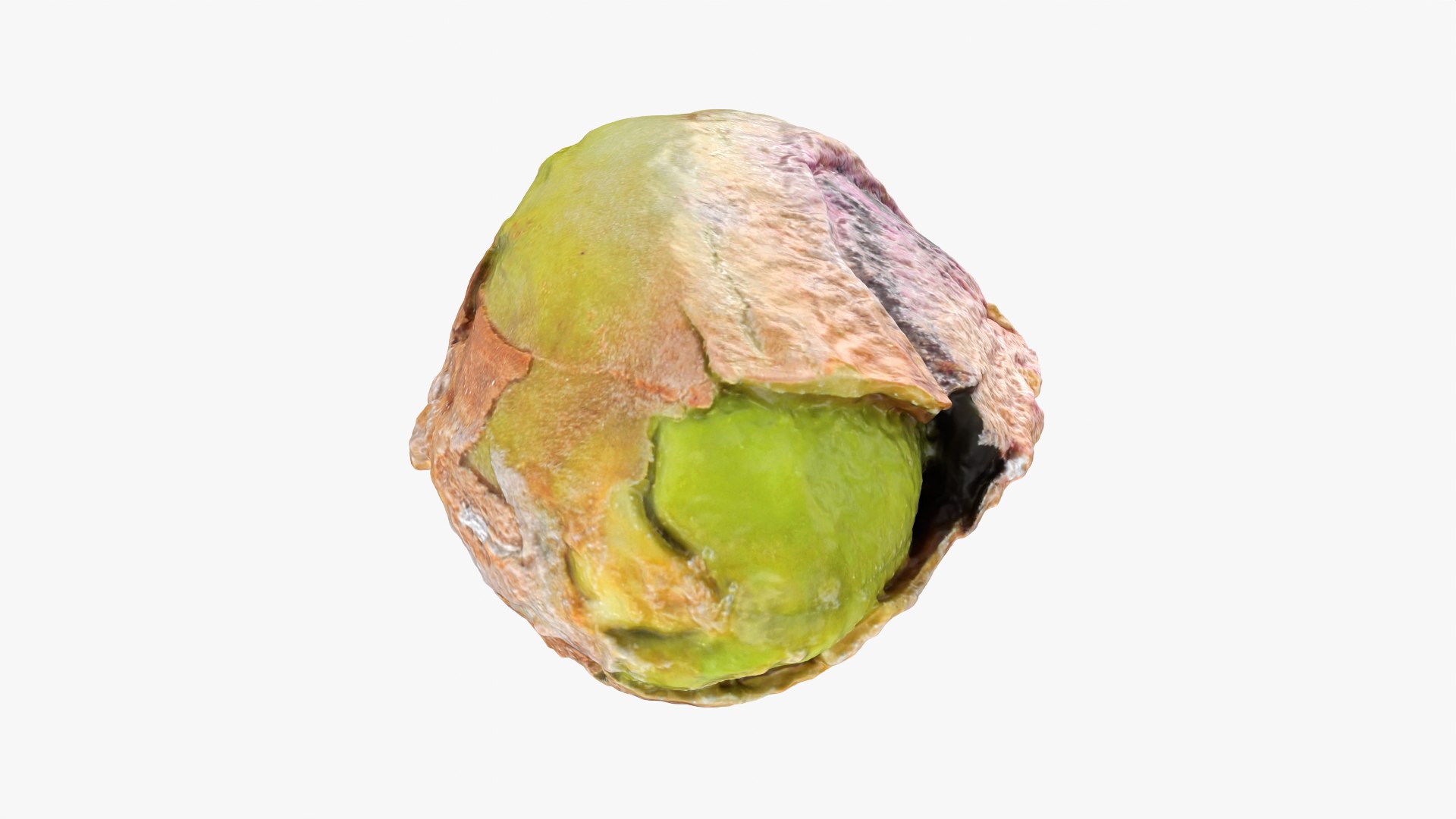 Pistachio Kernel 02 3D model https://p.turbosquid.com/ts-thumb/sz/arDBAq/8z/pistachiopeeled02_0004/png/1753167443/1920x1080/fit_q87/24f0396df2500673b41f6c3c1130433a5d7a53b3/pistachiopeeled02_0004.jpg