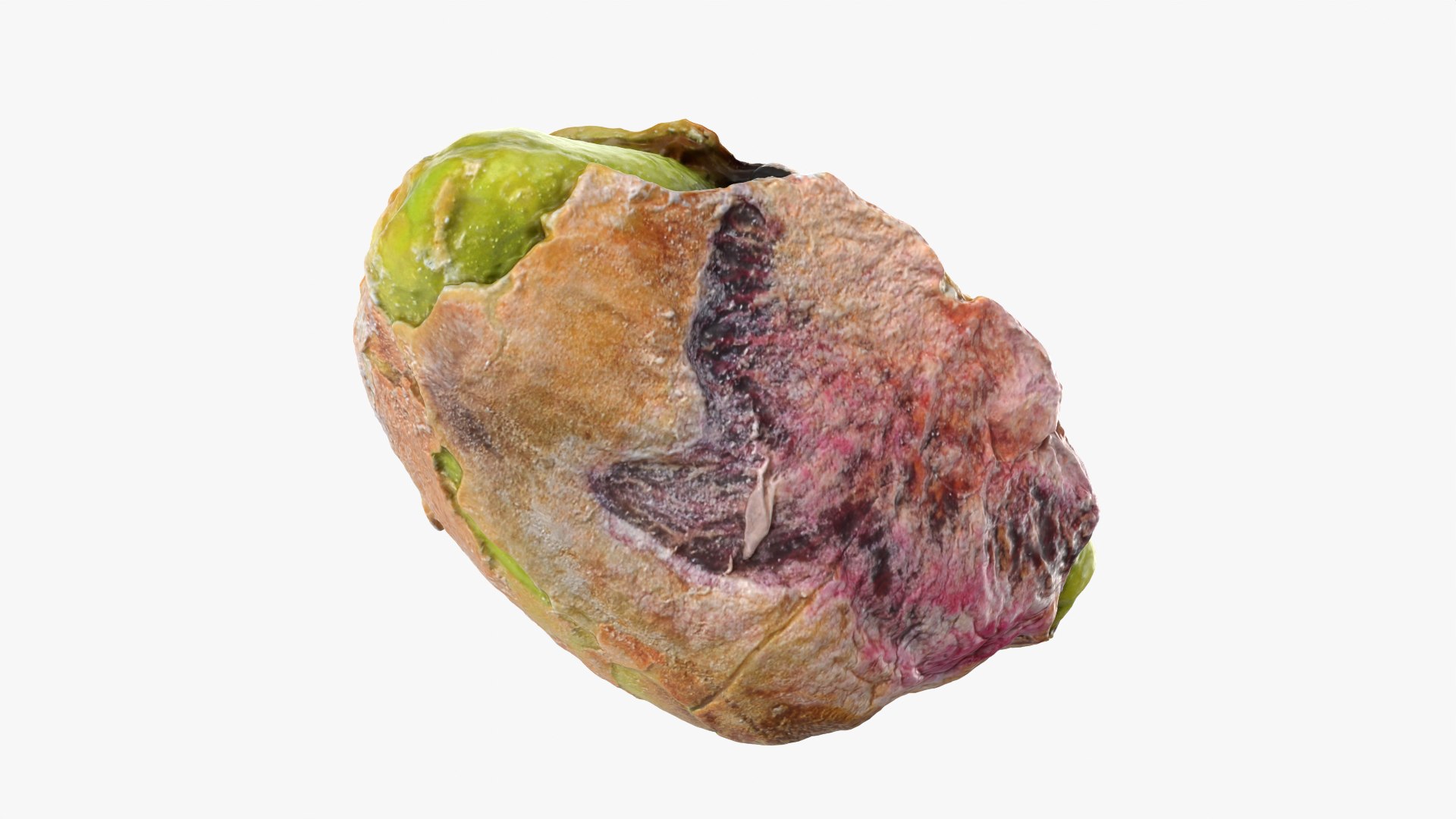 Pistachio Kernel 02 3D model https://p.turbosquid.com/ts-thumb/sz/arDBAq/FF/pistachiopeeled02_0003/png/1753167443/1920x1080/fit_q87/8921ee8b89949e94a6304a1b2dc47b899ef22709/pistachiopeeled02_0003.jpg