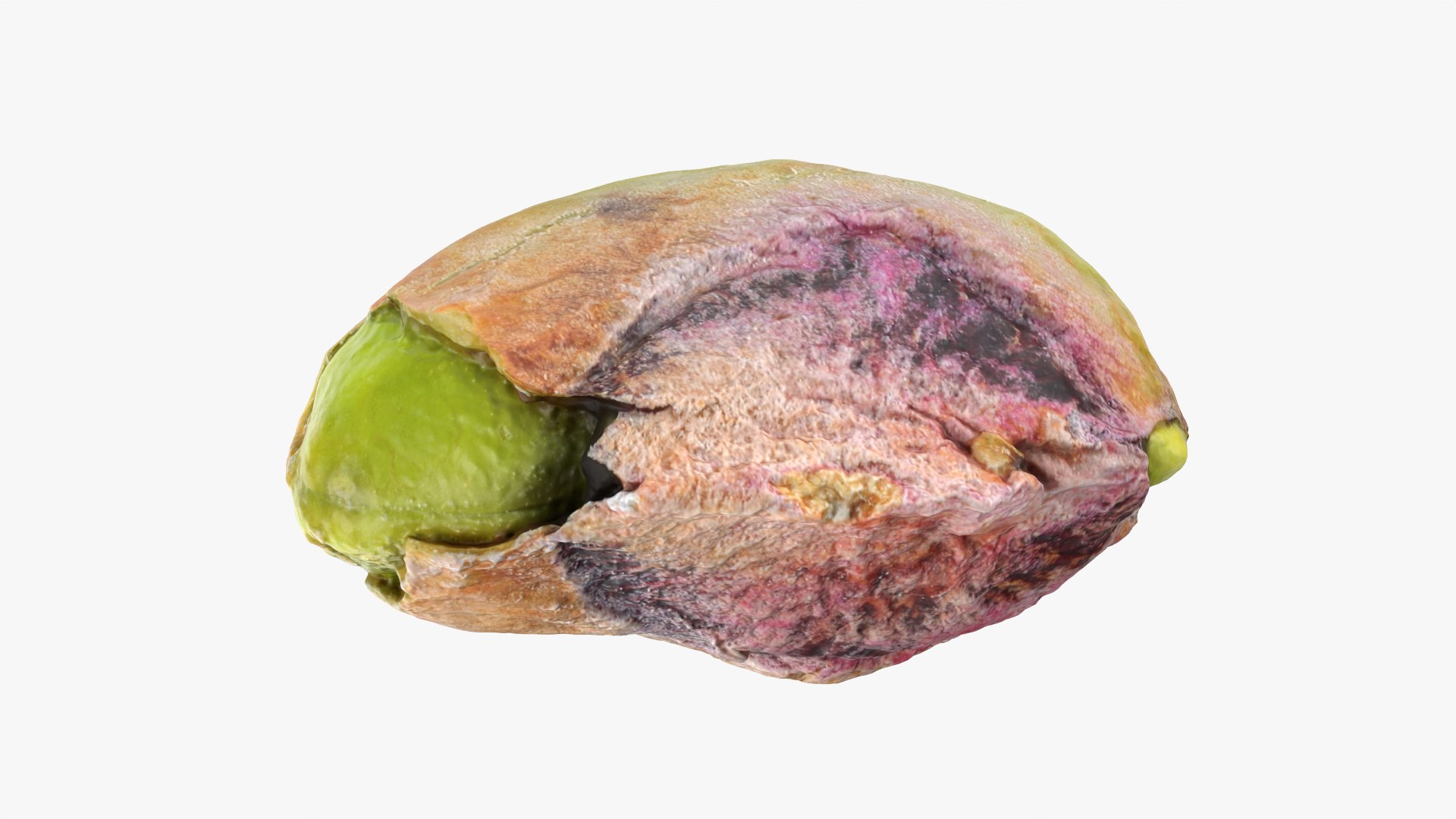 Pistachio Kernel 02 3D model https://p.turbosquid.com/ts-thumb/sz/arDBAq/Ld/pistachiopeeled02_0002/png/1753167442/1920x1080/fit_q87/d0f7b40c94150f07a9bdec370d676ca7490212e7/pistachiopeeled02_0002.jpg