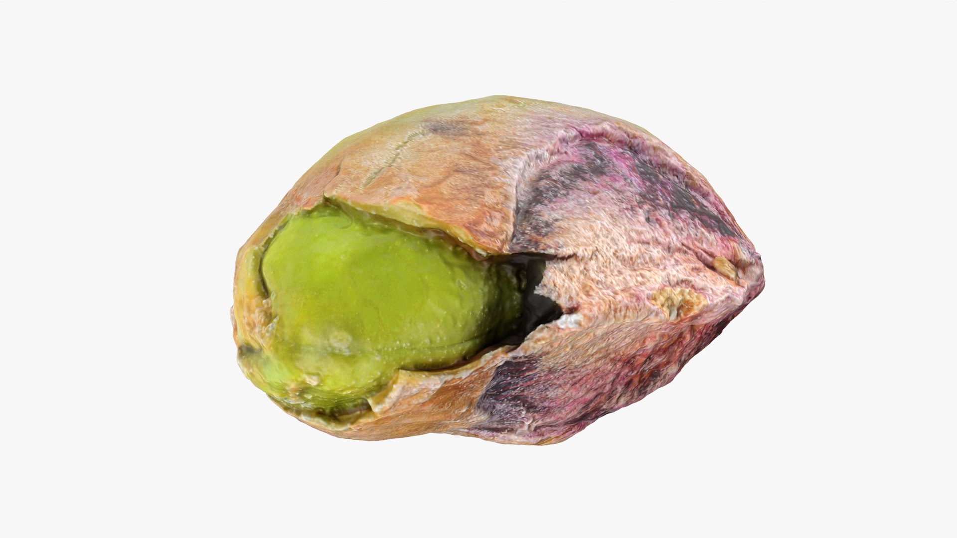 Pistachio Kernel 02 3D model https://p.turbosquid.com/ts-thumb/sz/arDBAq/OU/pistachiopeeled02_0009/png/1753167450/1920x1080/fit_q87/a2128fc630b0d1906bb963e54d49803f2ac5b04d/pistachiopeeled02_0009.jpg