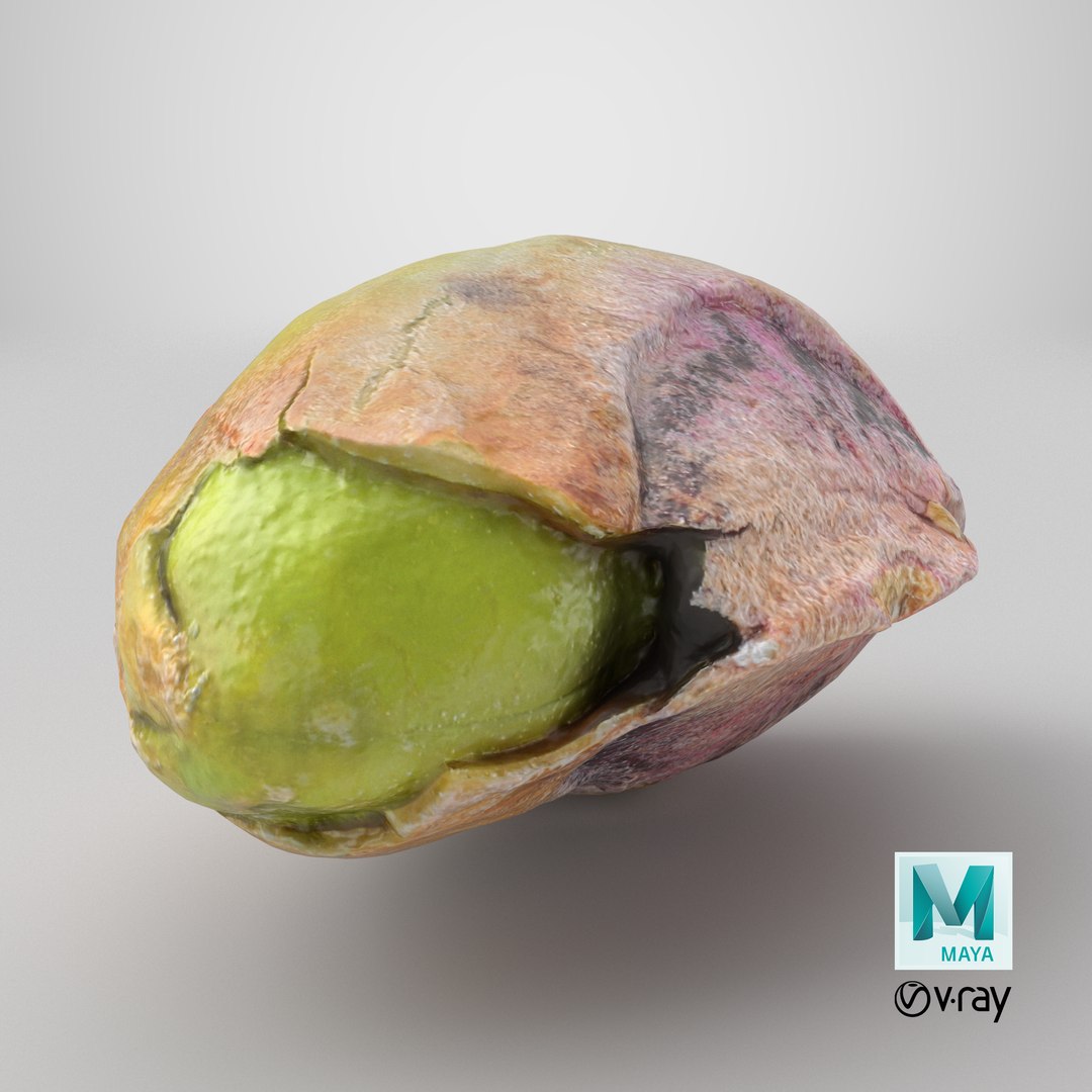 Pistachio Kernel 02 3D model https://p.turbosquid.com/ts-thumb/sz/arDBAq/Th/stemcell_maya_vray_render/png/1755110891/1920x1080/fit_q87/e764224981ed0d36ace589f7f394fd08c60f704a/stemcell_maya_vray_render.jpg
