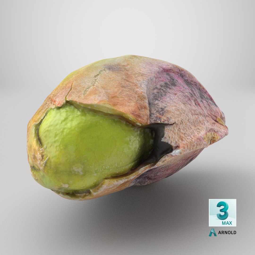 Pistachio Kernel 02 3D model https://p.turbosquid.com/ts-thumb/sz/arDBAq/Y5/stemcell_max_arnold_render/png/1755110898/1920x1080/fit_q87/f49a5b69a2f93df3129fe19d56240815144079f7/stemcell_max_arnold_render.jpg