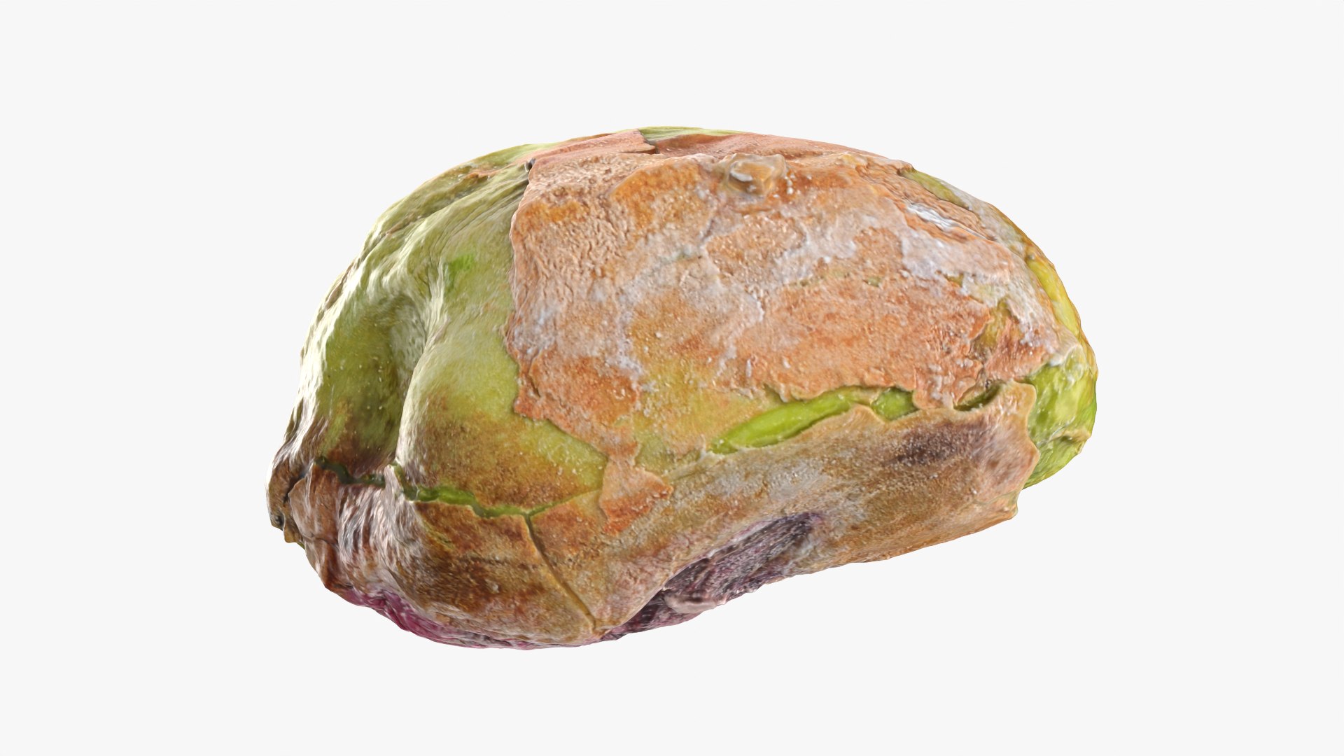 Pistachio Kernel 02 3D model https://p.turbosquid.com/ts-thumb/sz/arDBAq/ZJ/pistachiopeeled02_0006/png/1753167457/1920x1080/fit_q87/665d8482f0e1edea34db97e348daa16628f3d3fa/pistachiopeeled02_0006.jpg