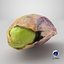 Pistache Kernel 02