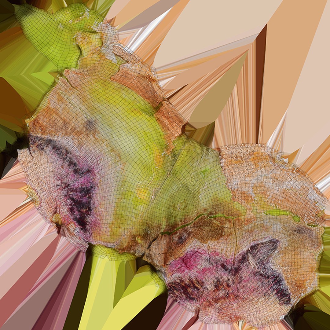 Pistachio Kernel 02 3D model https://p.turbosquid.com/ts-thumb/sz/arDBAq/l8/pistachiopeeled02_c0004/png/1753167458/1920x1080/fit_q87/d65a5fb6c8eb2713b88ea9c4813201d4bdc6e299/pistachiopeeled02_c0004.jpg
