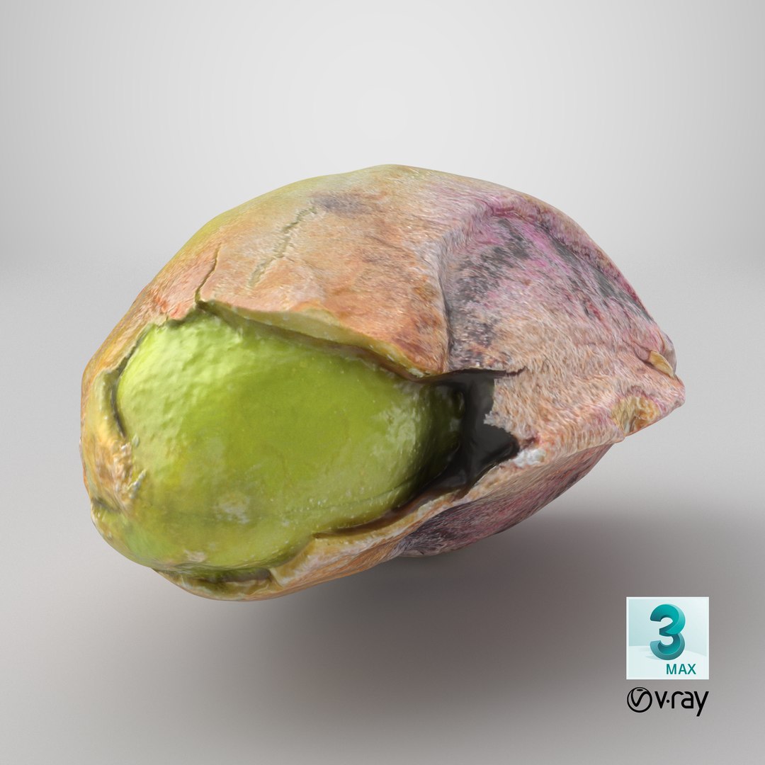 Pistachio Kernel 02 3D model https://p.turbosquid.com/ts-thumb/sz/arDBAq/xc/stemcell_max_vray_render/png/1755110896/1920x1080/fit_q87/8840d496177d5899bd6b15154ed18e3c01e7ad75/stemcell_max_vray_render.jpg