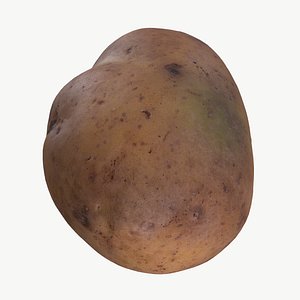 3D High Quality Scan Potatoes - 3 model