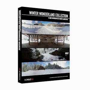 3D Winter Wonderland HDRI Collection model