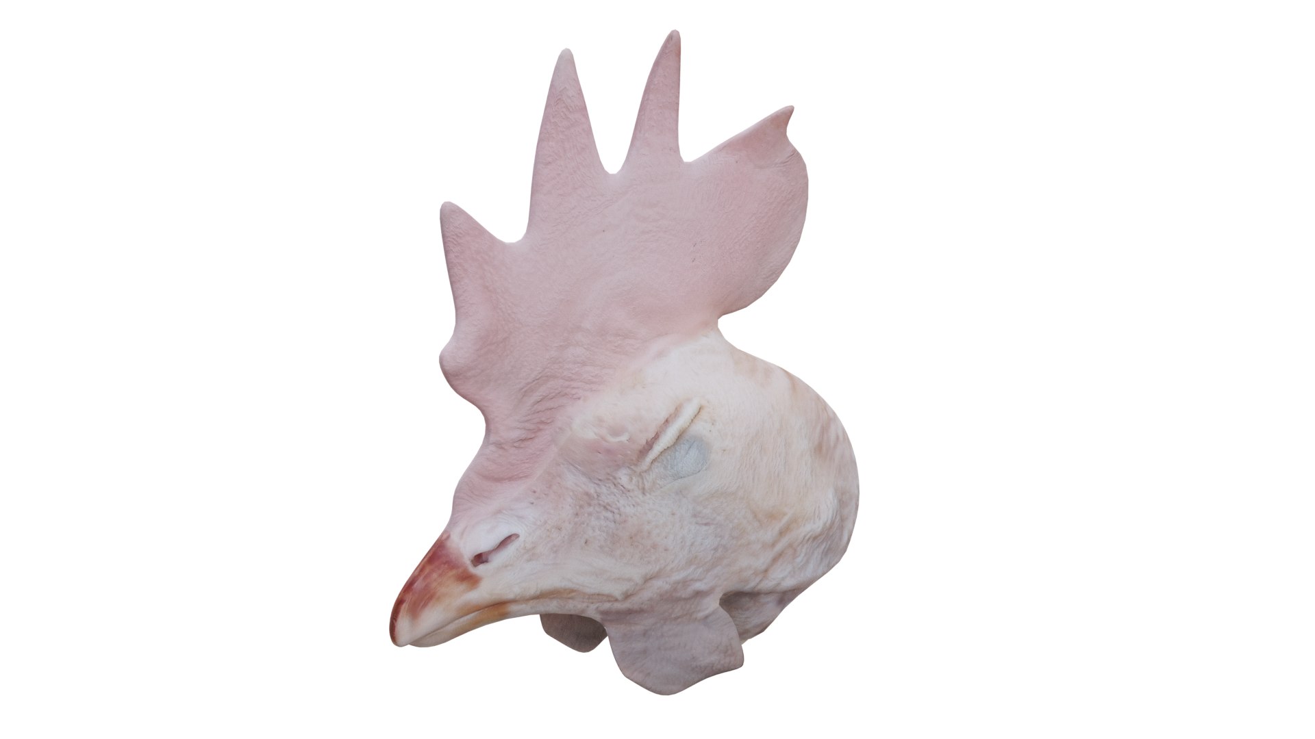 3D Chicken Head - TurboSquid 1954726
