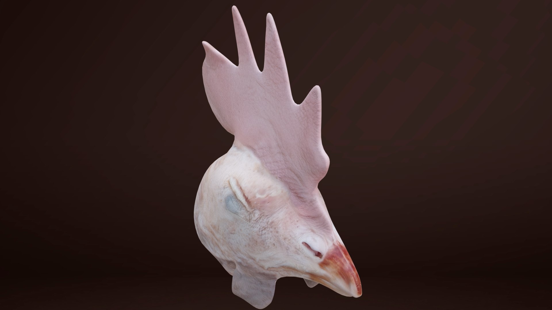 3D Chicken Head - TurboSquid 1954726