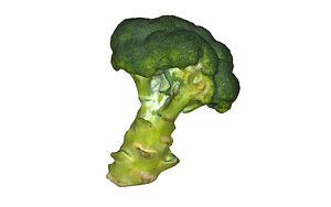 broccoli scan scanner 3D model