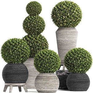 Concrete Tree Topiary - Indoor Plant 221 3D