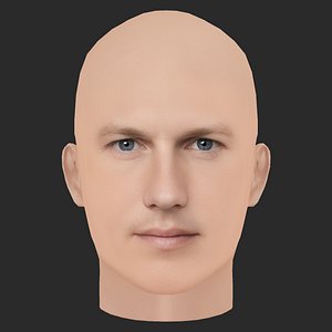 Low Poly Patrick Wilson Head 3D model