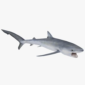 3ds max blue shark pose 2