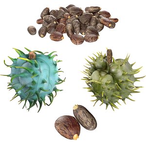 3D Caster seed set