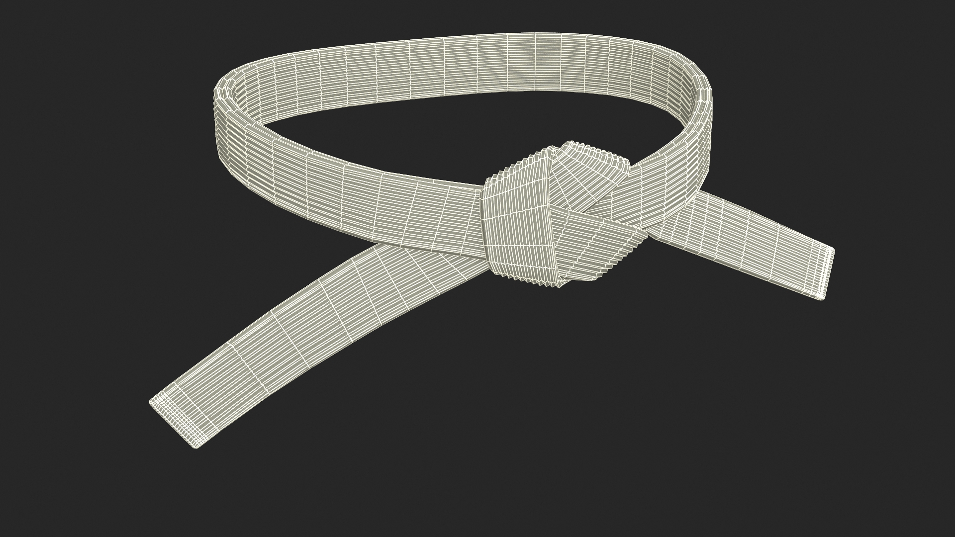 3D Karate White Waist Belt Obi TurboSquid 2133326