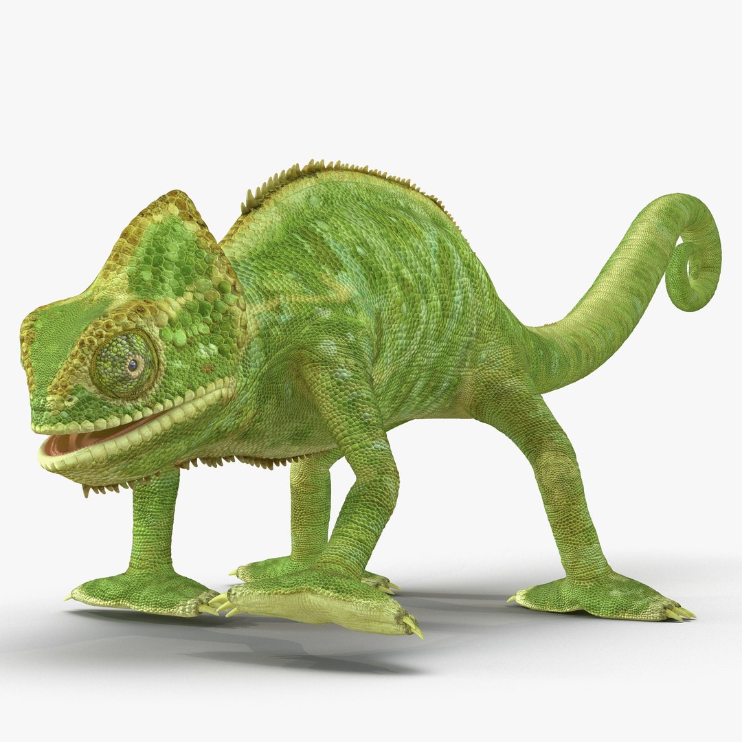 Chameleon Rigged 3D model preview
