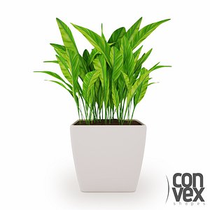 Potted Plants 04