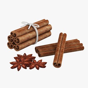 3D Cinnamon sticks and anise