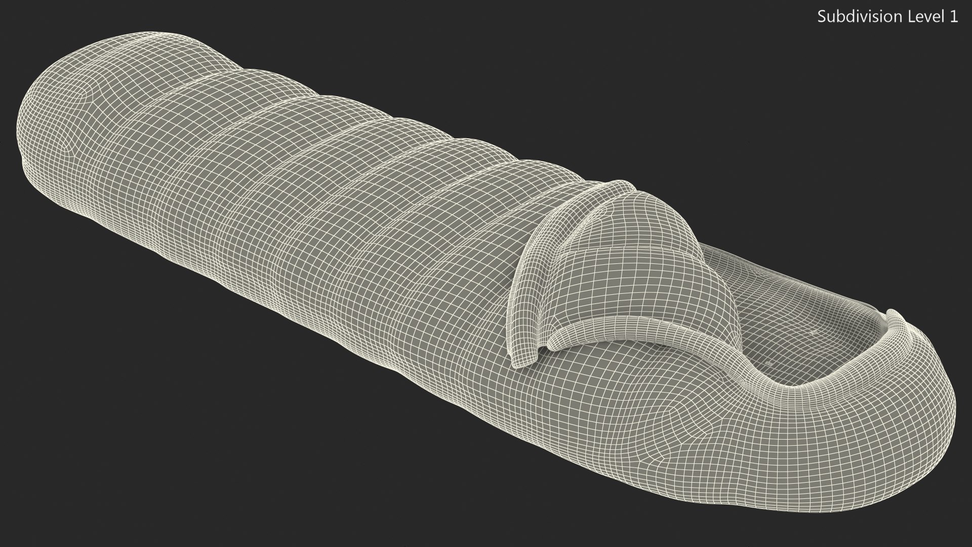 3D Deployed Sleeping Bag https://p.turbosquid.com/ts-thumb/t1/GQ0CAw/v8/deployedsleepingbagmb3dmodel018/jpg/1627369592/1920x1080/fit_q87/9540fd2dda9a3a7b93e771f75d79e4a885a65a99/deployedsleepingbagmb3dmodel018.jpg