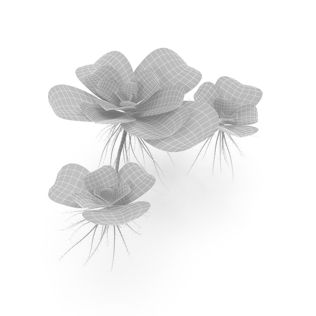 3D Collection of aquarium plants https://p.turbosquid.com/ts-thumb/t1/JlBkNM/Ck/wire/jpg/1678035431/1920x1080/fit_q87/3e01119990e4786fdd937a51e1ad2de858f38406/wire.jpg