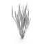 Collection de plantes d'aquarium