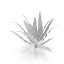 Collection de plantes d'aquarium