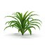Collection de plantes d'aquarium