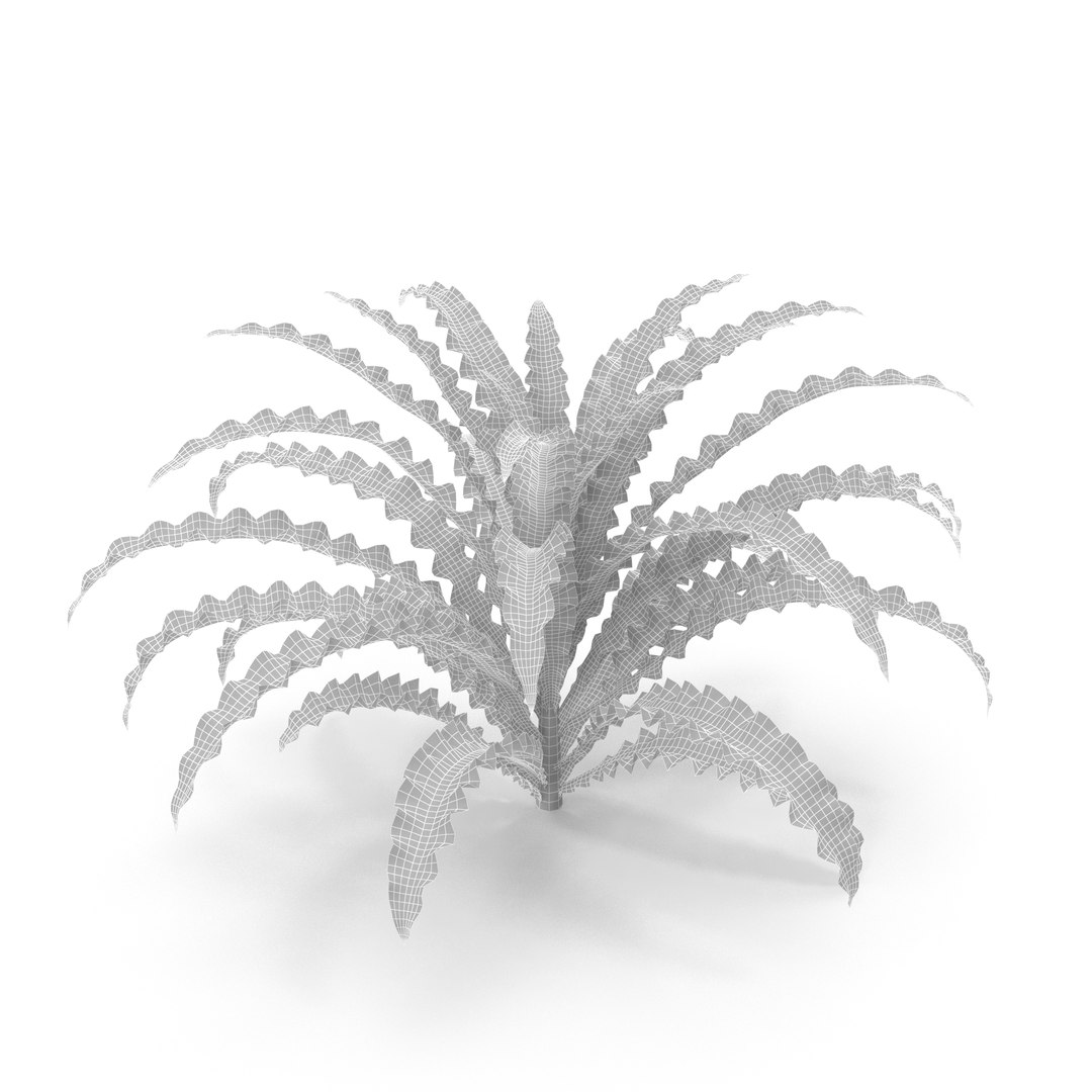 3D Collection of aquarium plants https://p.turbosquid.com/ts-thumb/t1/JlBkNM/si/wire/jpg/1679157710/1920x1080/fit_q87/b769e878e6bc231992fecb71e8fa969f790cf3ea/wire.jpg
