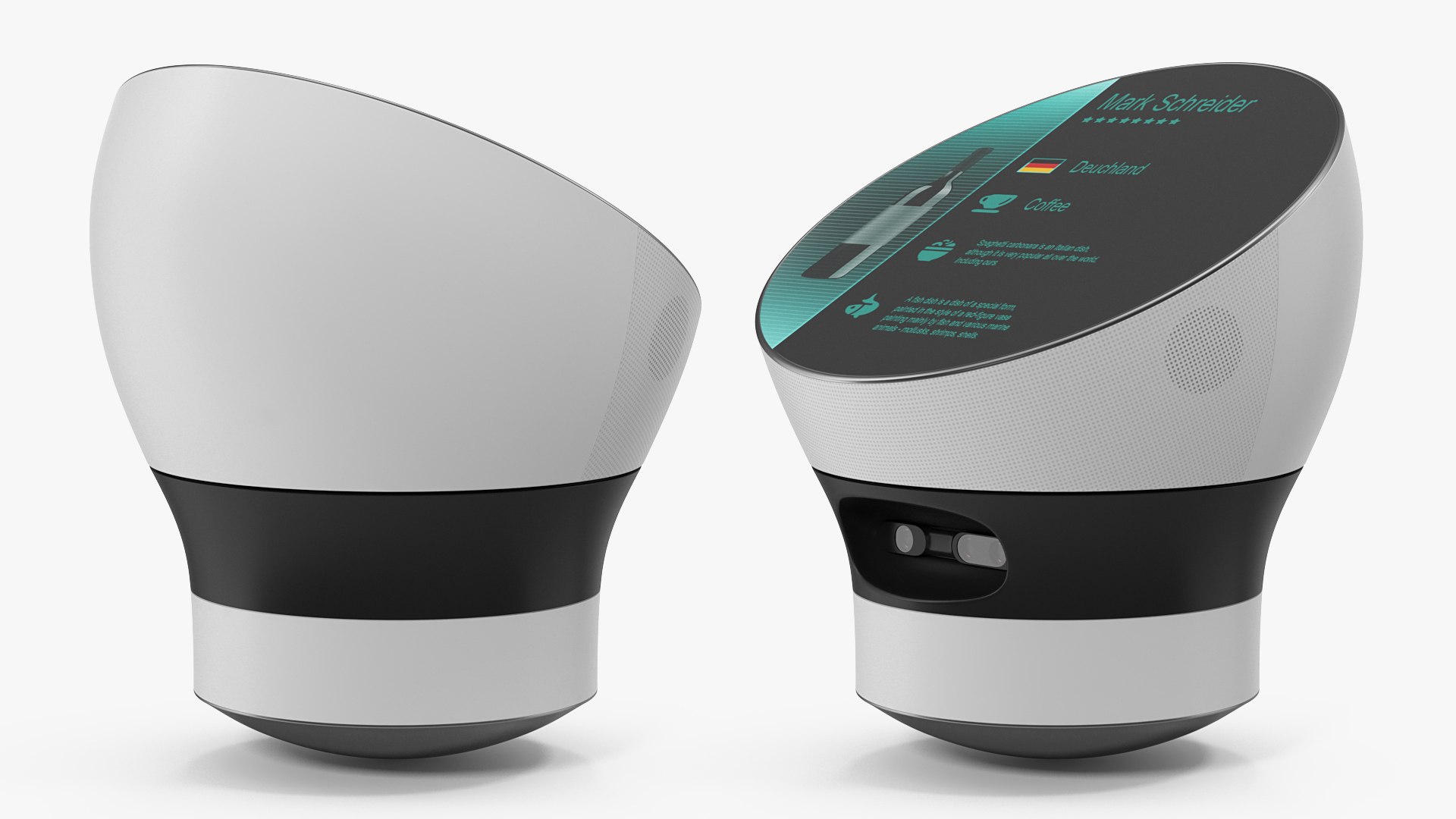 Careobot 4 Display 3D model preview