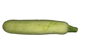 zucchini ready 3D