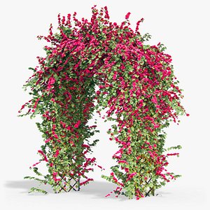 3d model pergola flowers ivy arch