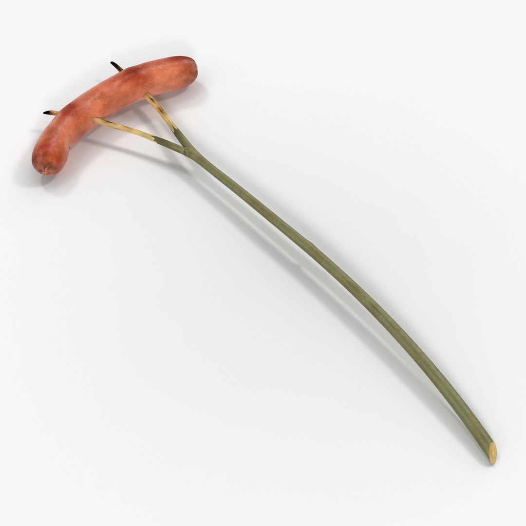 Grilled Sausage on a Wooden Stick 3D Model 3D model preview