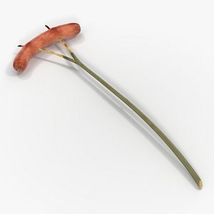 grilled sausage wooden stick 3d model