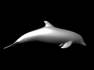 Dolphin with bones