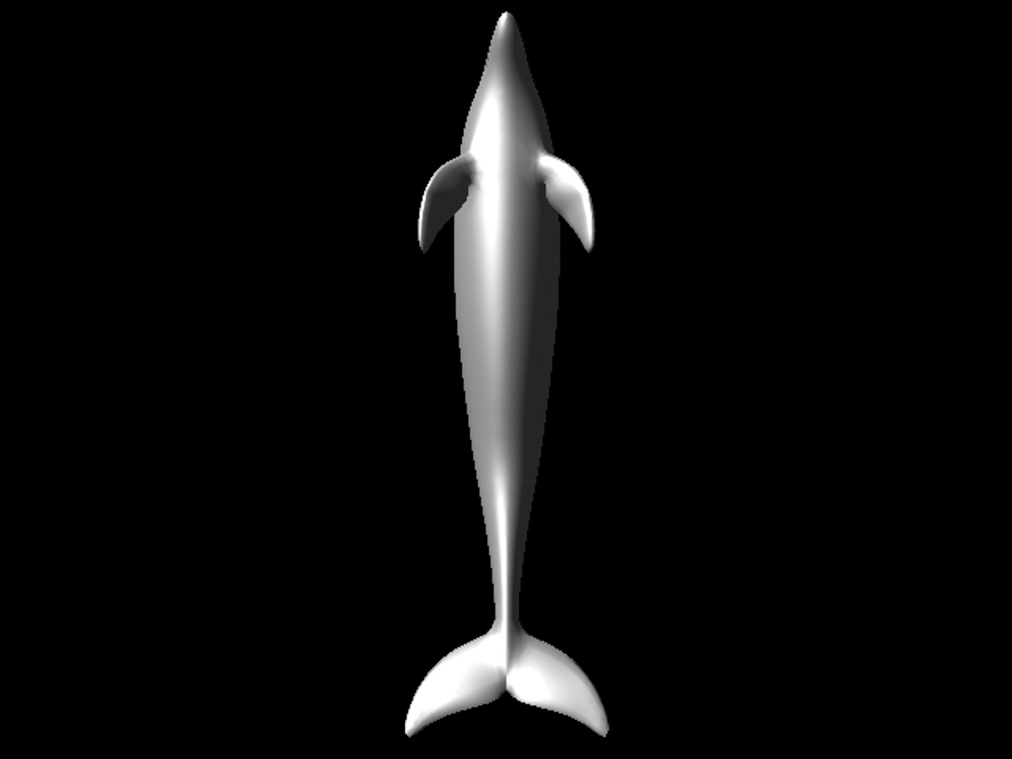 free lwo mode dolphin boned https://p.turbosquid.com/ts-thumb/t1/kW8BWk/zZzFY4Hh/dolphinbottom/jpg/1165604535/1920x1080/fit_q87/f587d623a4d02aaba24b35720835b15dfd0626c0/dolphinbottom.jpg
