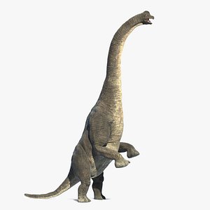 Brachiosaurus