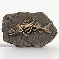 Prehistoric Fish Skeleton Fossil 025 Textured