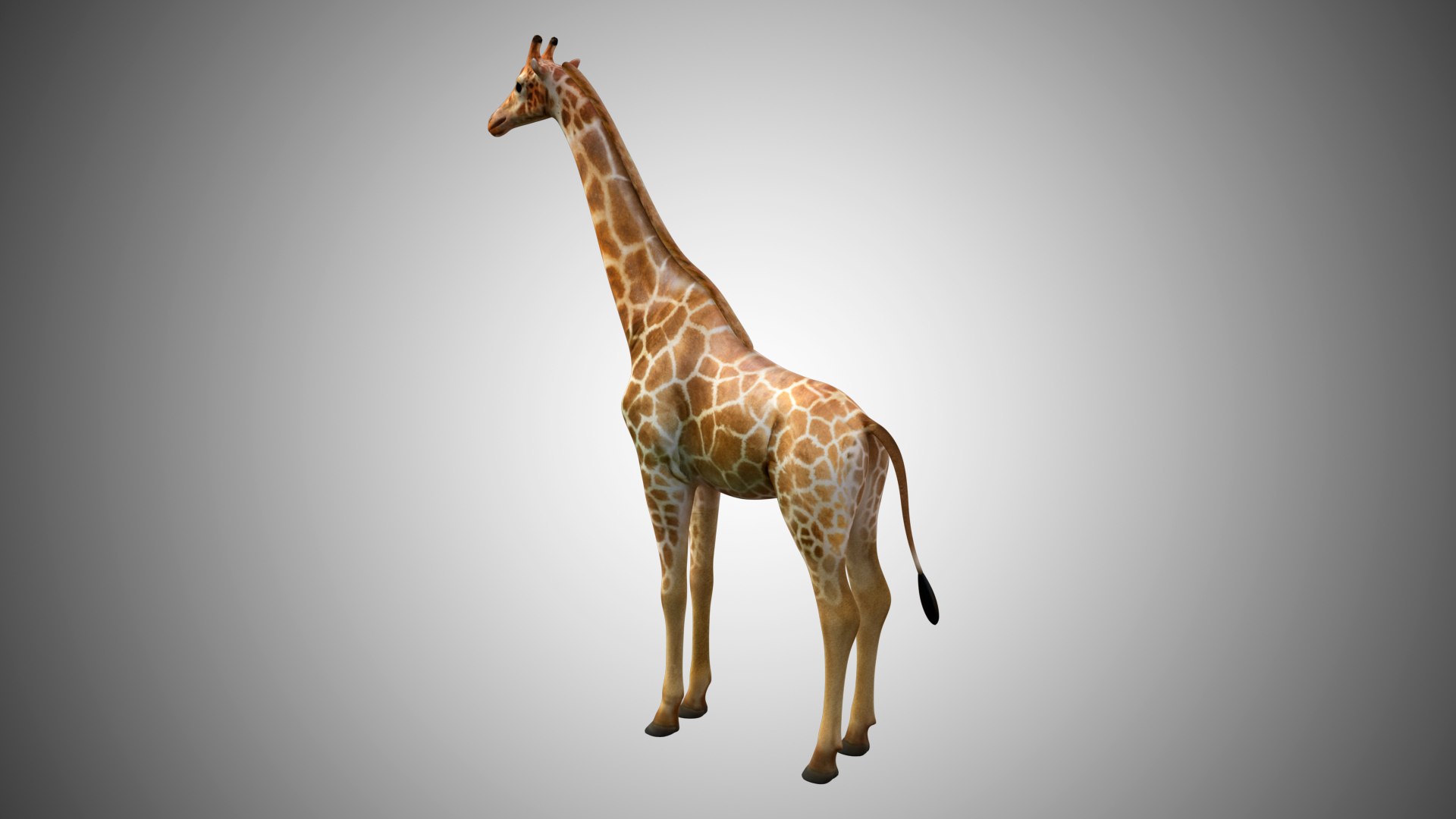 3D rigged realistic model - TurboSquid 1611426
